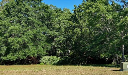 Level Homesite