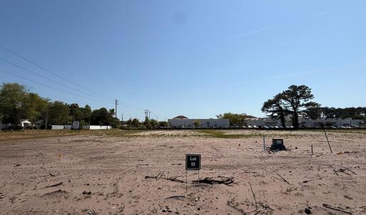 Lot 15 photo