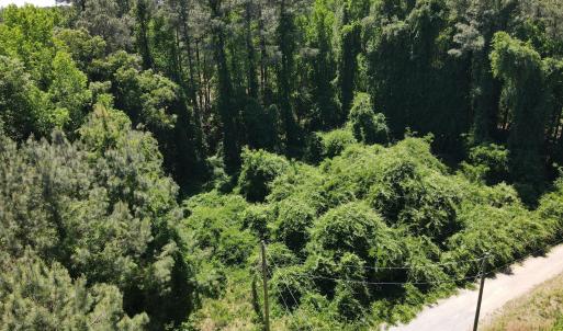 DJI_0222
