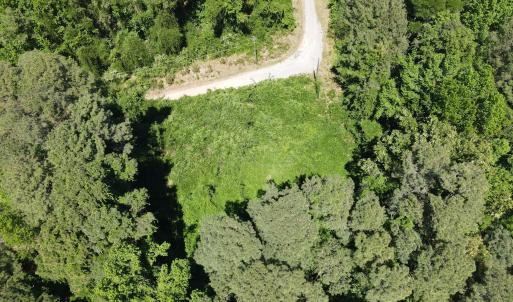 DJI_0219
