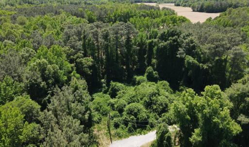 DJI_0221