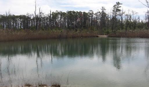 Pond View 4