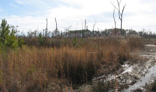 Land View 2