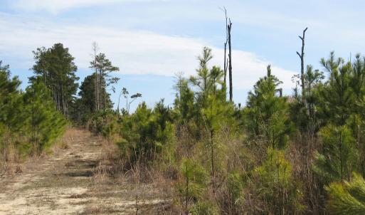 Land View