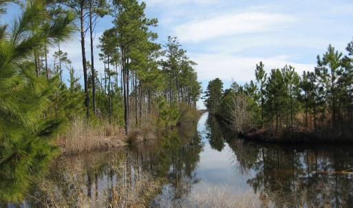 Canal View