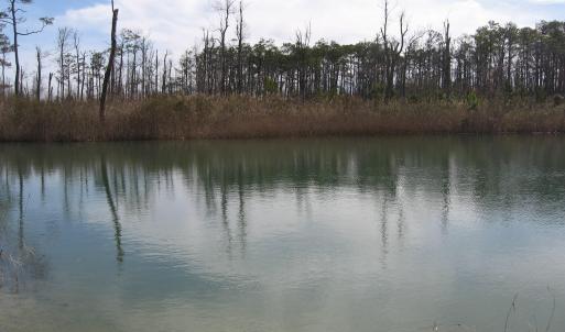 Pond View 3