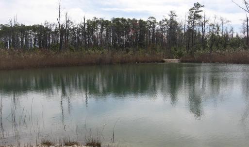 Pond View 4