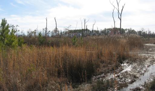 Land View 2