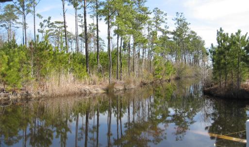 Canal View 5