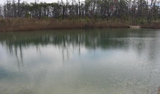 Pond View 5