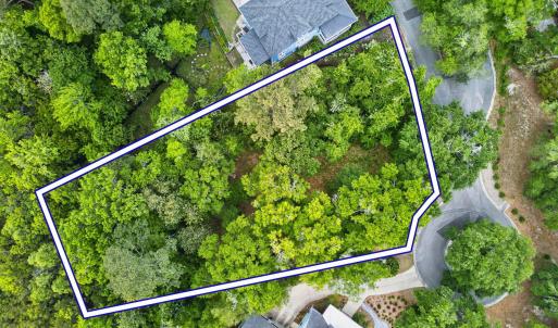 Aerial Top