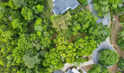 Aerial Top