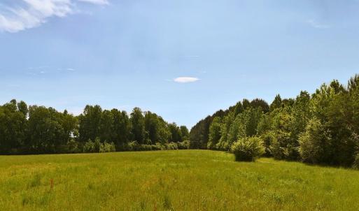 1. Primary Image