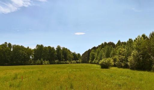 1. Primary Image