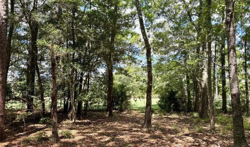 Back of site on #10 Tee Box