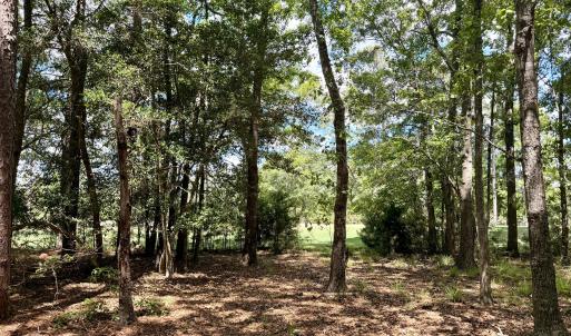 Back of site on #10 Tee Box