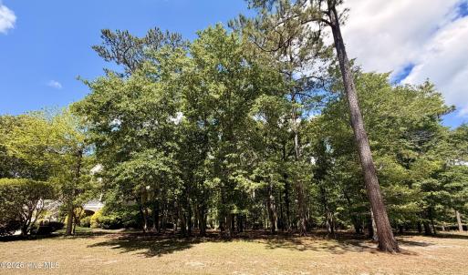 Front of Site