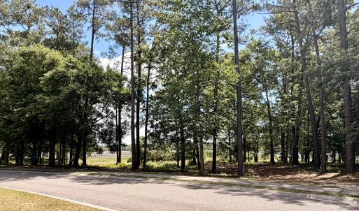 View from Front of site