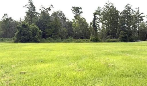 Photo #3 of 421 Pointe Vista, Elizabeth City, NC 1.4 acres