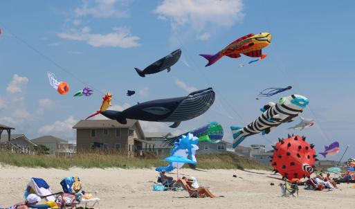 Kites on Beach
