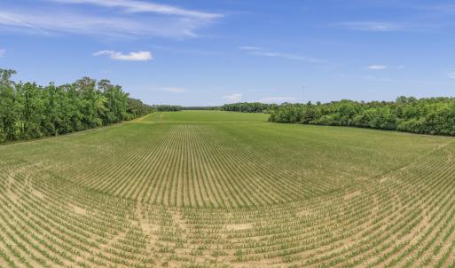 18-001_0053_pano