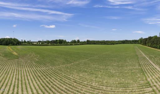 15-001_0050_pano
