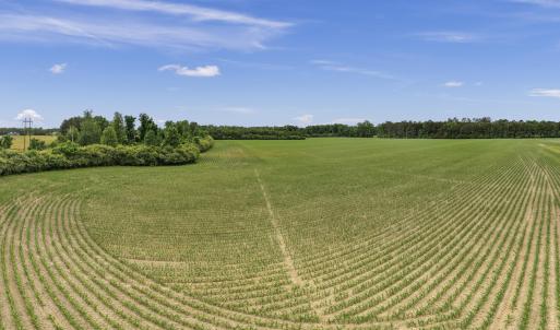 17-001_0052_pano