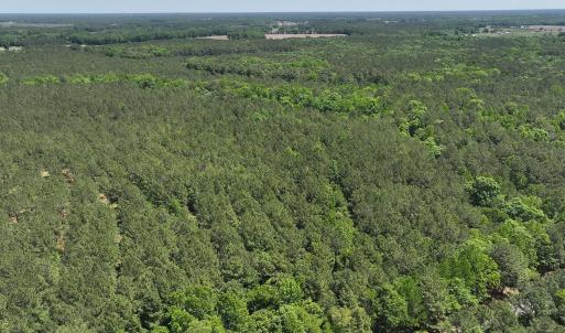 dji_fly_20260508_124852_0709_17783328193