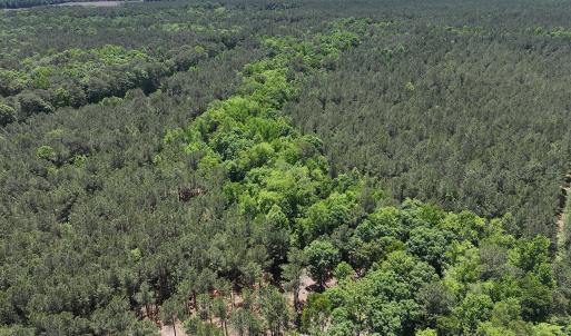 dji_fly_20260508_124734_0705_17783328313