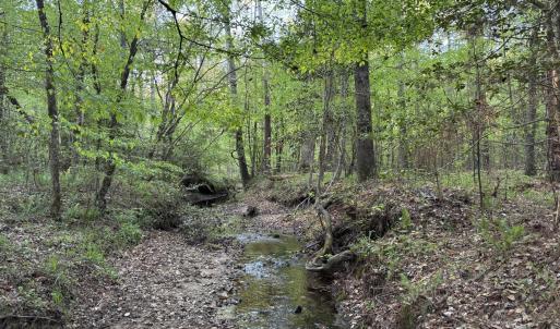 Cartledge Creek