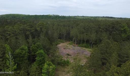 Cartledge Creek