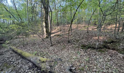 Cartledge Creek