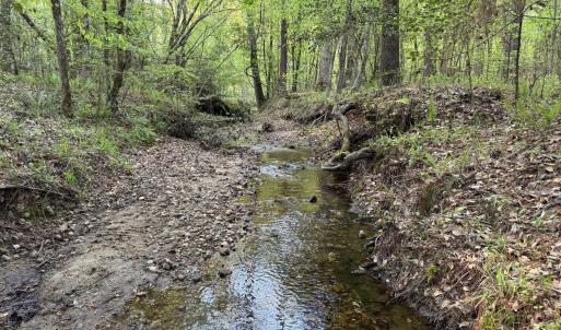 Cartledge Creek