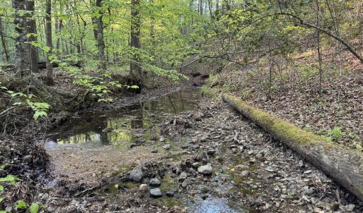 Cartledge Creek
