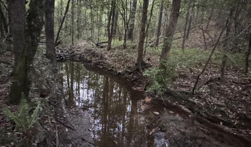 Cartledge Creek