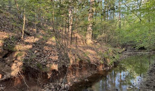 Cartledge Creek