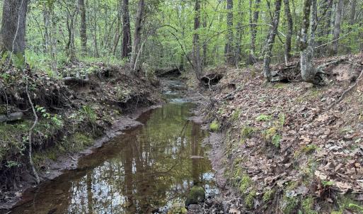Cartledge Creek