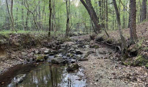 Cartledge Creek
