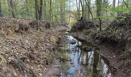 Cartledge Creek
