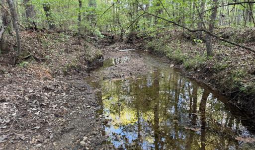 Cartledge Creek