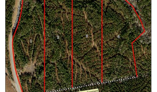 Photo #2 of Cartledge Creek, Rockingham, NC 53.0 acres