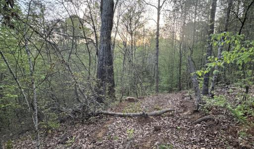 Cartledge Creek