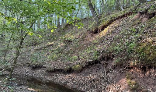 Cartledge Creek