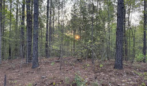 Cartledge Creek