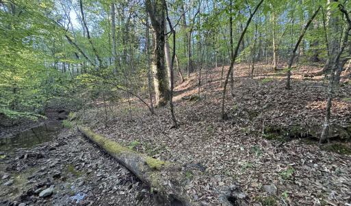 Cartledge Creek