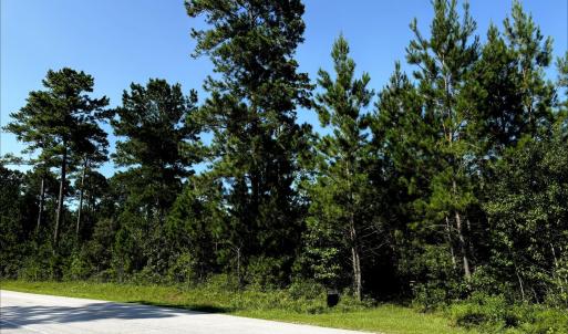 Photo #1 of Lee Rogers, Hubert, NC 70.3 acres
