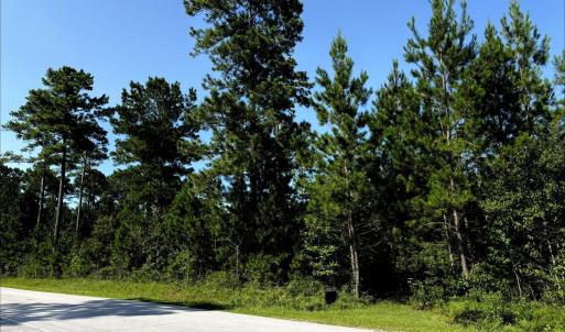 Photo #1 of Lee Rogers, Hubert, NC 70.3 acres
