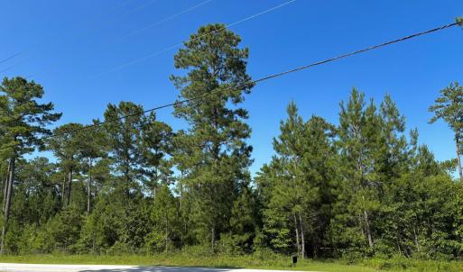 Photo #3 of Lee Rogers, Hubert, NC 70.3 acres
