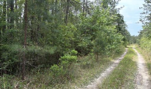 MLS_Photo_1