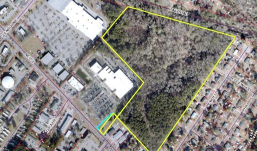 Neuse Aerial